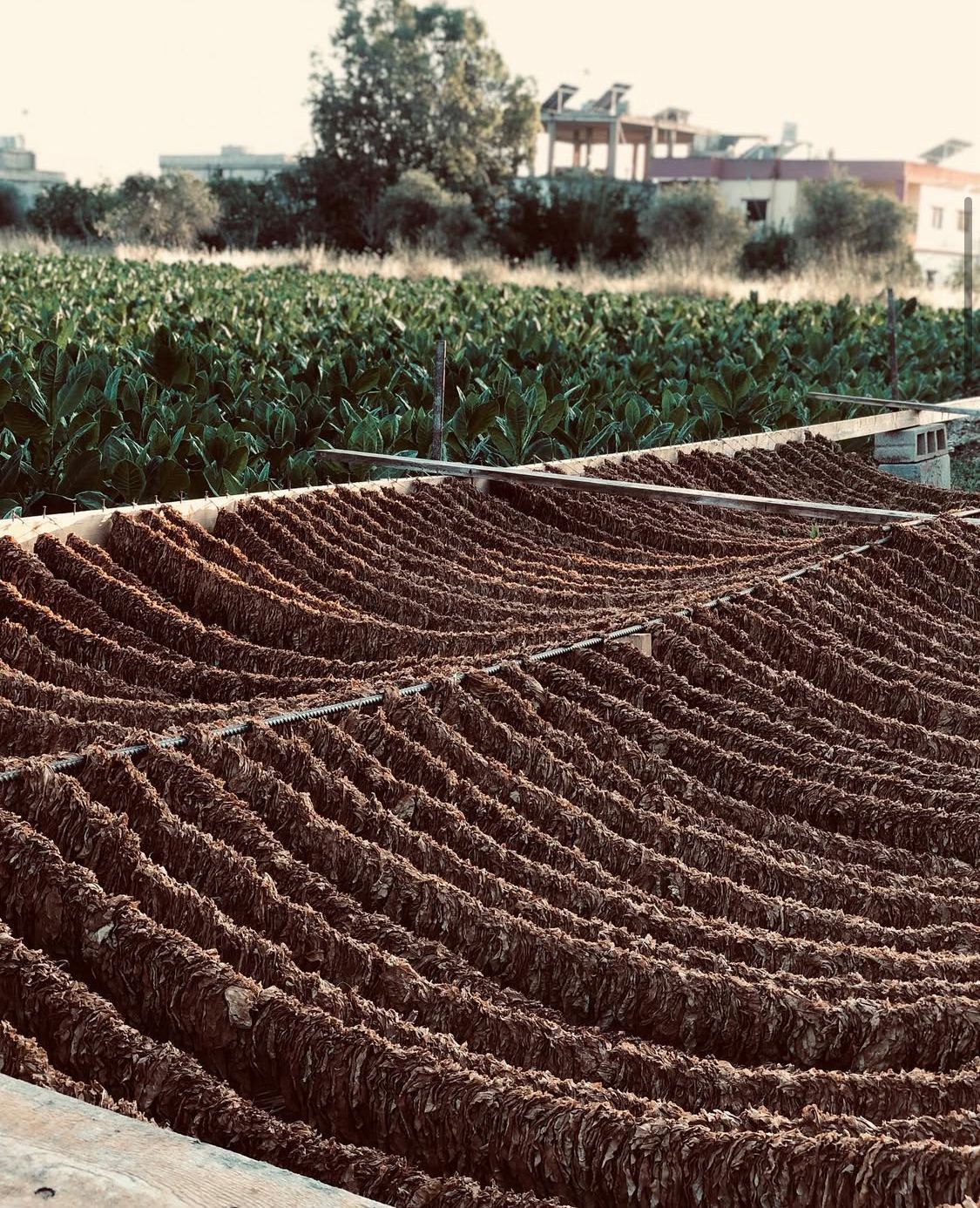 Deirseryan aerial view